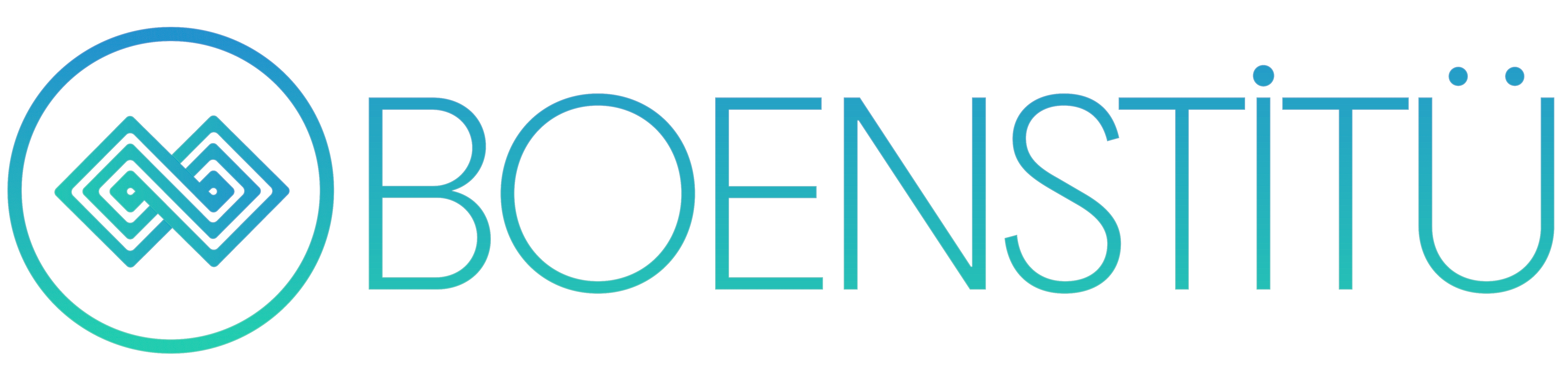Boenstitü Logo